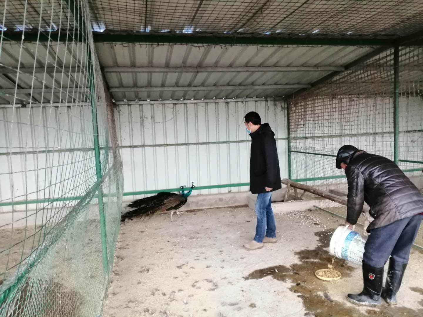 微信图片_20200313095156.jpg