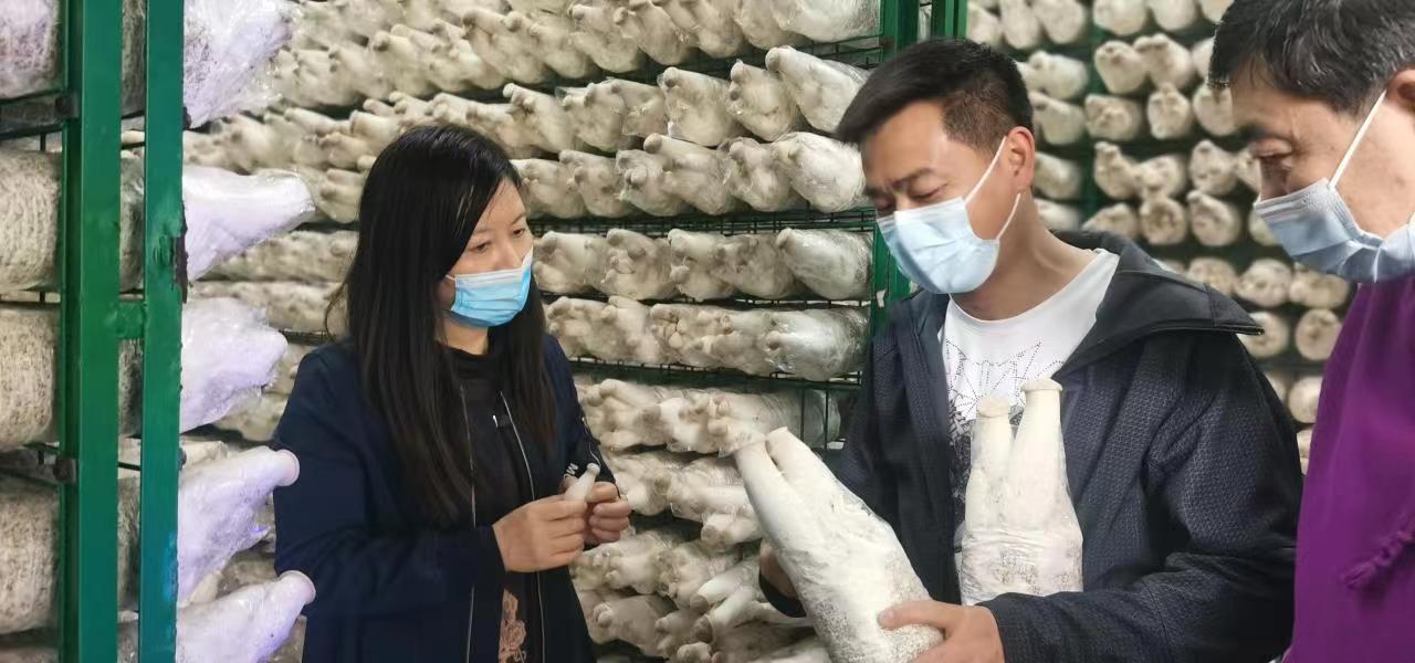 微信图片_20220421095254.jpg